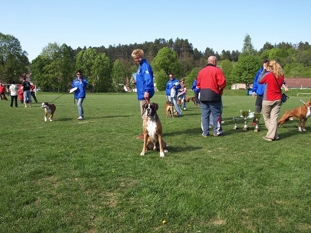 www.atibox.net * www.euroboxer.eu * www.boxergenealogia.eu